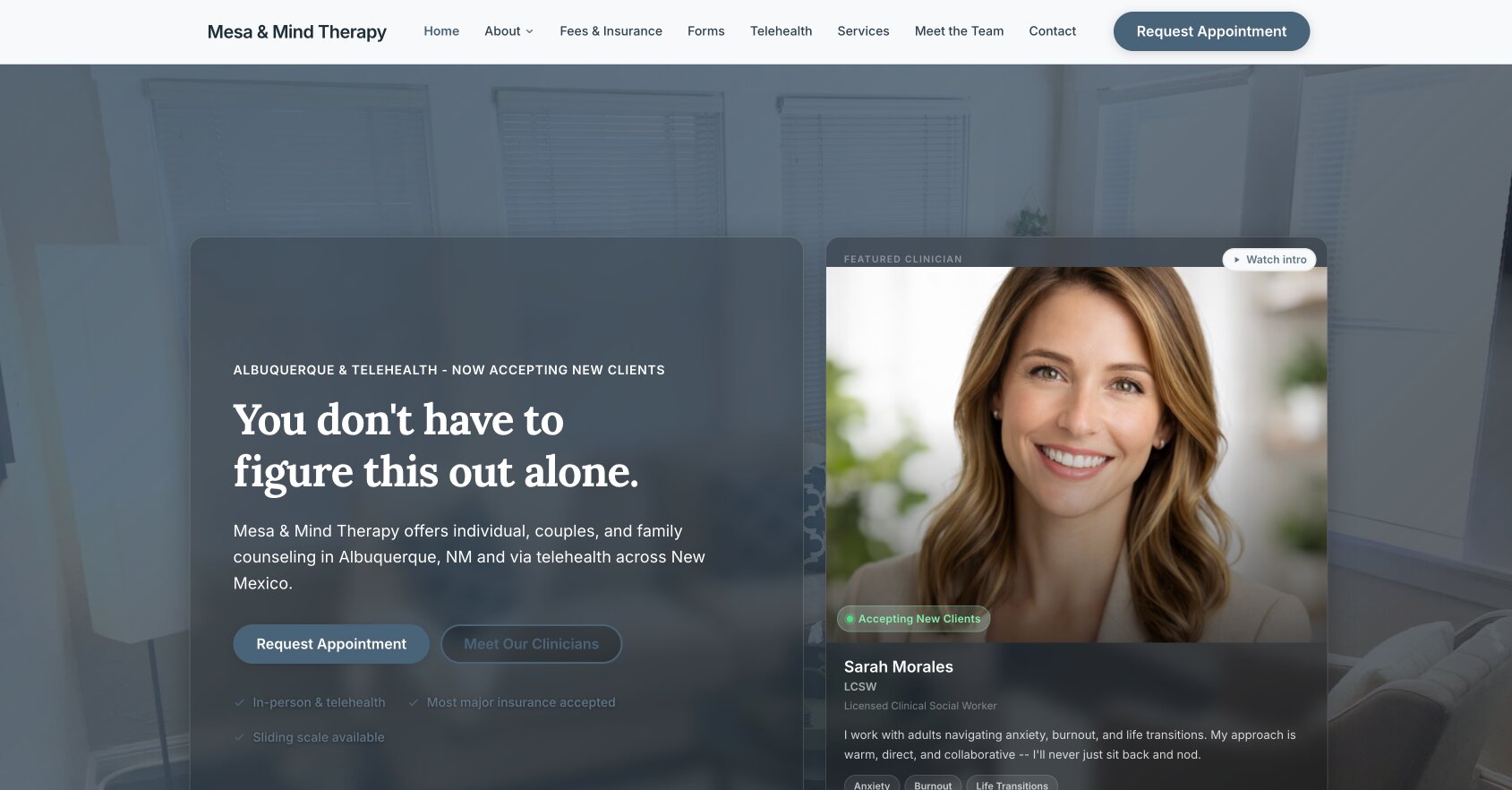 TherapyBuilt demo site preview